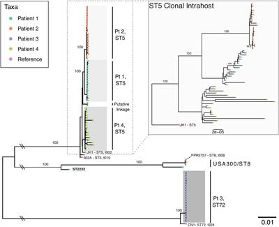 Long-Term Intrahost Evolution of Methicillin Resistant Staphylococcus aureus Among Cystic Fibrosis Patients With Respiratory Carriage